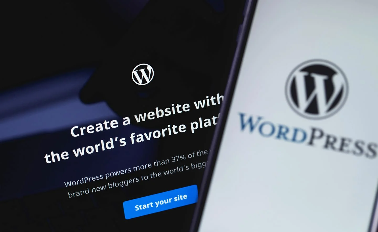 Why Choose WordPress?